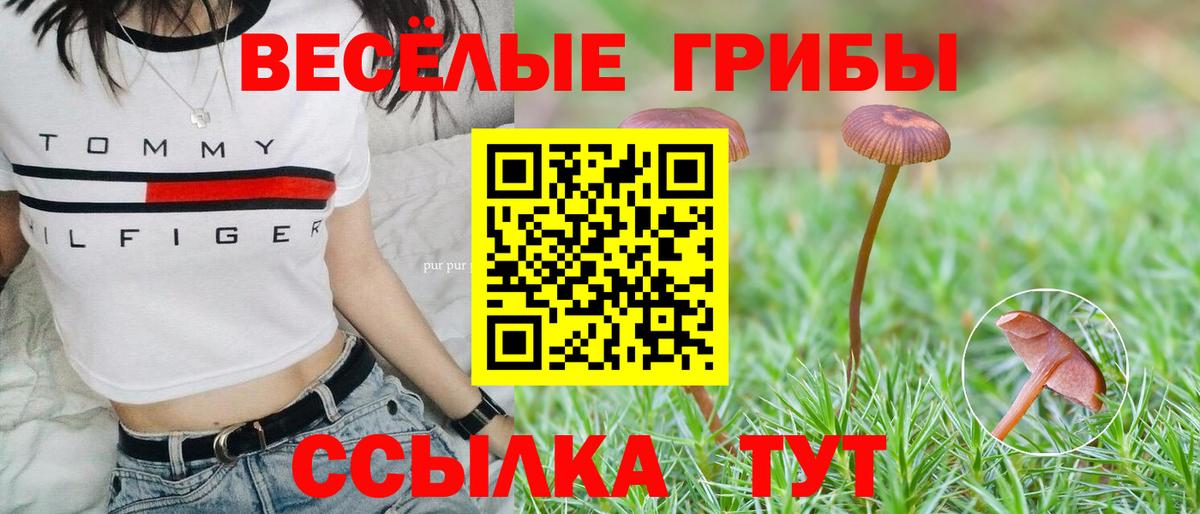 Псилоцибиновые грибы ЛСД Муром