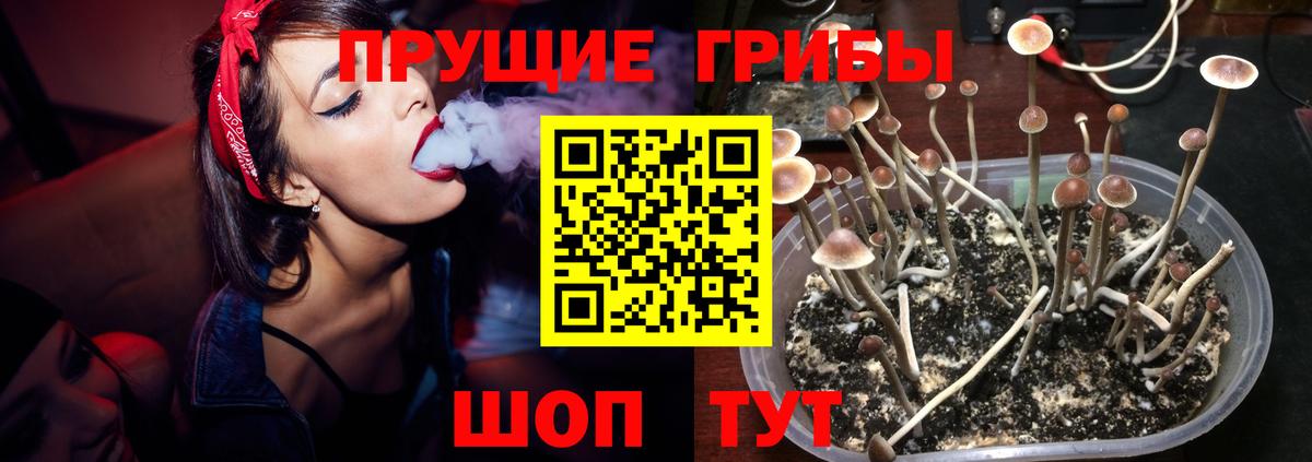 Муром  Галлюциногенные грибы Psilocybe  Вход с VPN  Псилоцибиновые грибы MAGIC MUSHROOMS 